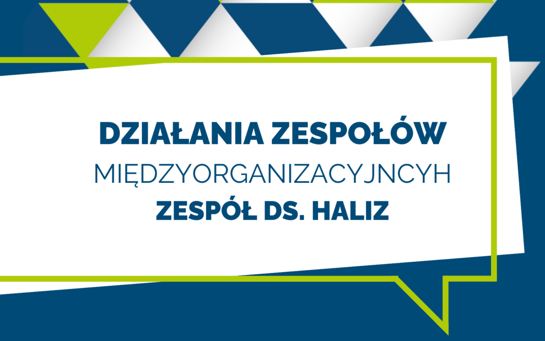 Międzyorganizacyjny zespół ds. Harcerskiej Akcji Letniej i Zimowej